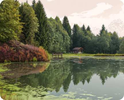 Reduce organic matter to manage algae bloom in bodies of freshwater.