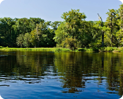 Increase pond depth and improve water quality with a bacterial tablet that reduces sludge buildup quickly.